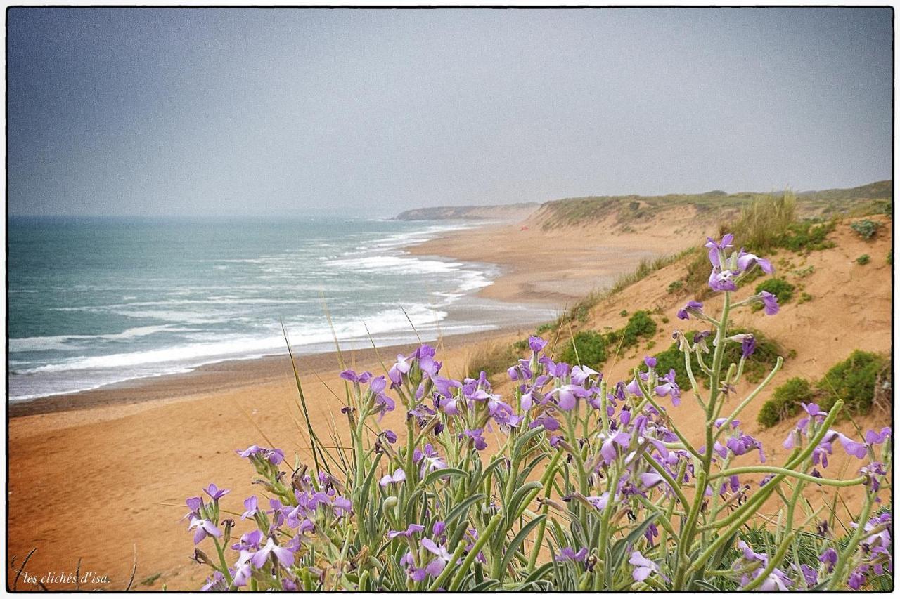 Vila La Salicorne Brem Sur Mer Exteriér fotografie